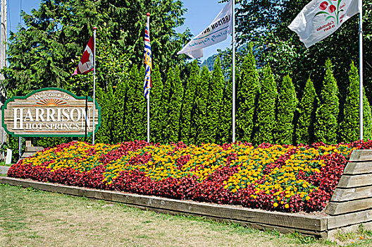 欢迎标志,温泉,不列颠哥伦比亚省,加拿大