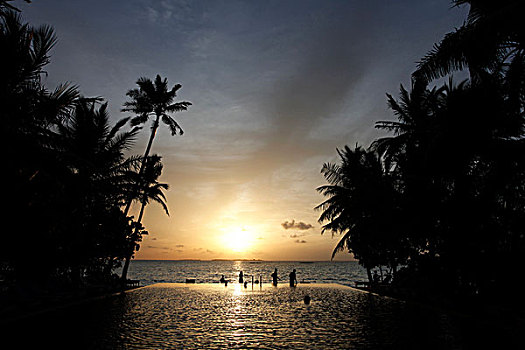 日落,反射,水池,岛屿,环礁,马尔代夫,印度洋