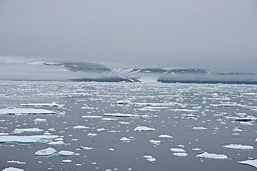 格陵兰,海洋,遥远,东海岸,靠近,海冰,大幅,尺寸