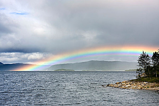 彩虹,上方,湖,北博滕省,瑞典,斯堪的纳维亚,欧洲