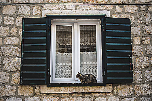 猫,坐,窗台,石头,建筑,维斯,克罗地亚,动物,宠物,窗户