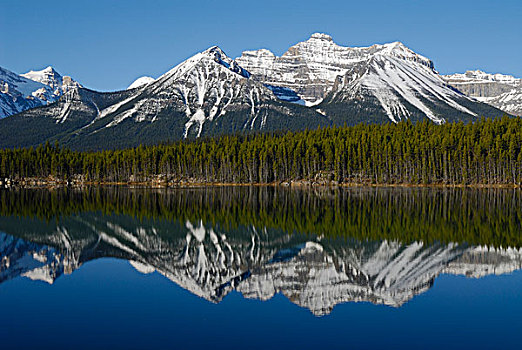 反射,山,湖,班芙国家公园,落基山脉,艾伯塔省,加拿大