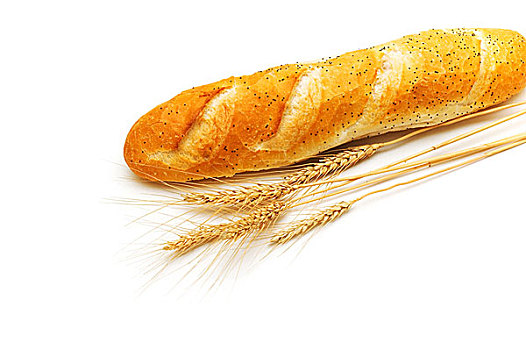 面包,麦穗,隔绝,白色背景