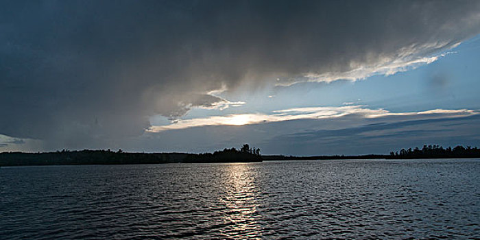 风景,湖,日出,木头,安大略省,加拿大