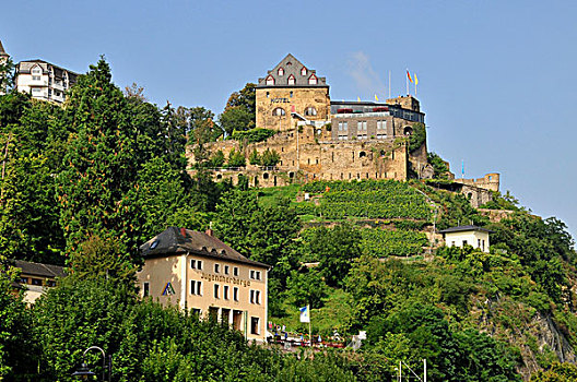 城堡,世界遗产,山谷,莱茵兰普法尔茨州,德国,欧洲