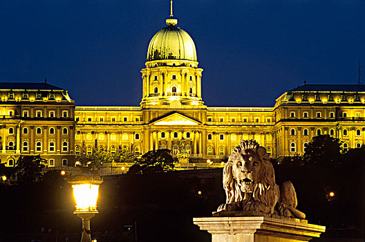 匈牙利,布达佩斯,皇家,城堡,链索桥,狮子