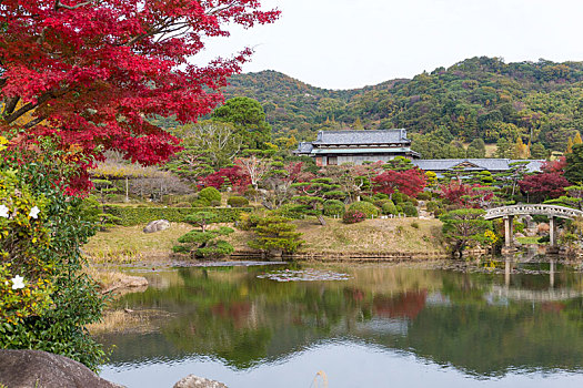 日本,漂亮,花园,秋季