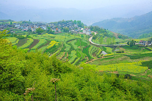 梯田,山村,春意