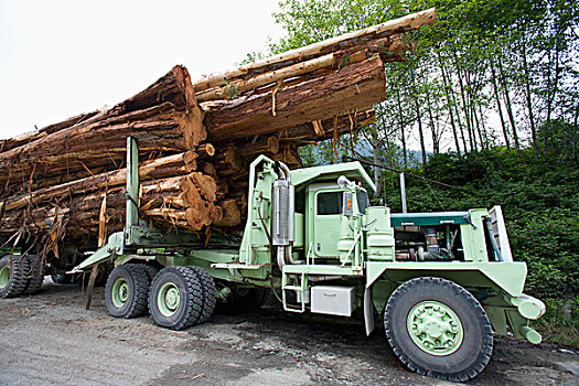伐木,卡车,一堆,雪松,原木,坐,靠近,美洲狮,花园,船,温哥华岛,不列颠哥伦比亚省,加拿大