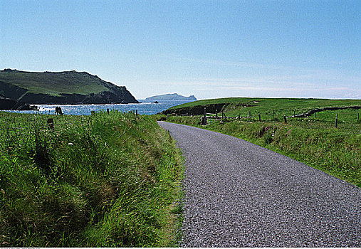 道路,海岸线,爱尔兰