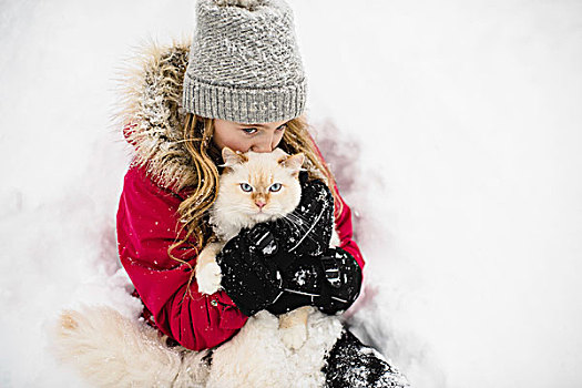 头像,碧眼,白色,猫,搂抱,女孩,雪中