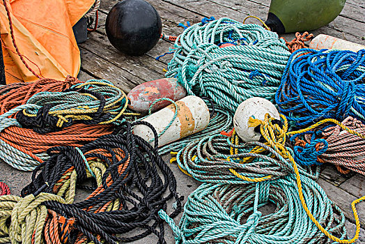 色彩,绳索,捕鱼,港口,佩姬湾,靠近,哈利法克斯,加拿大