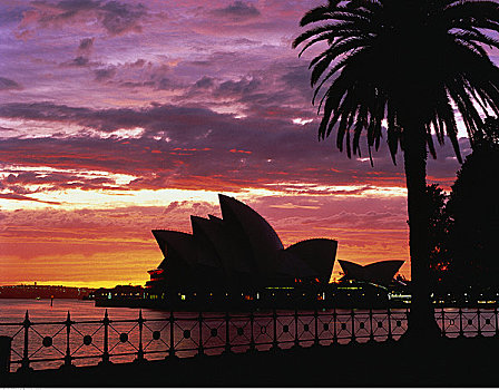 剪影,悉尼歌剧院,日落,悉尼,新南威尔士,澳大利亚