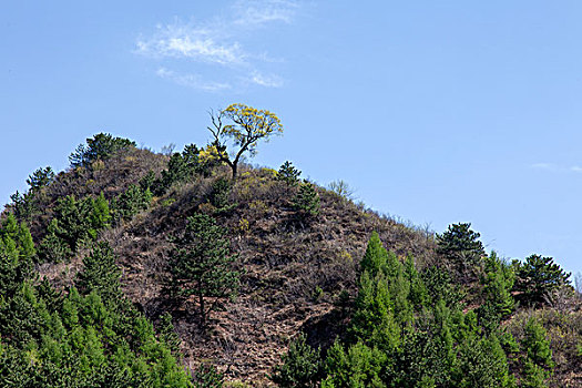 山峦