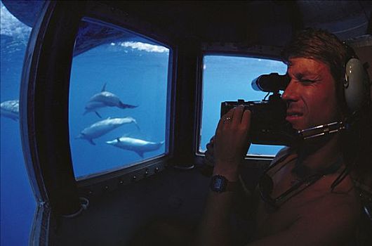 水下视角,船,录影带,飞旋海豚,长吻原海豚,夏威夷