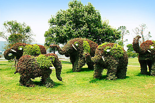 草种植而成的大象景观