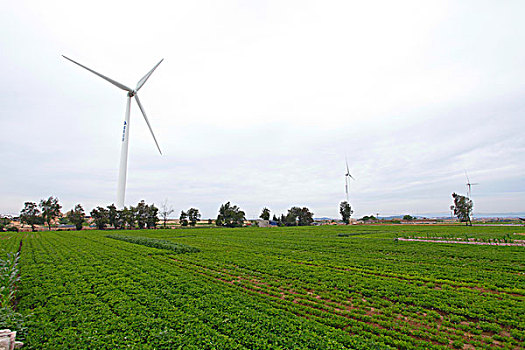 农田上的风力发电风车