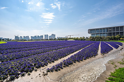 花田基地