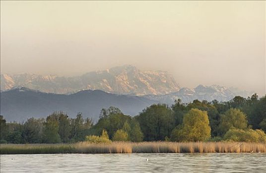 南方,湖,阿尔卑斯山,楚格峰,餐馆,上巴伐利亚,德国