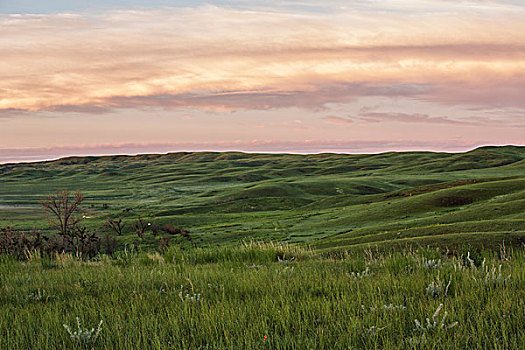 日出,草原国家公园,萨斯喀彻温,加拿大