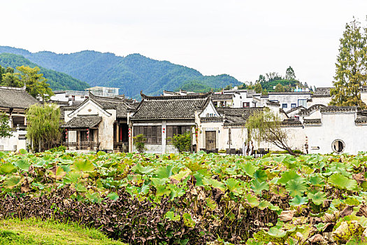 呈坎古村落,中国安徽省黄山市徽州区