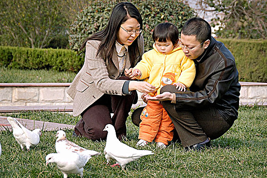 宝宝和爸妈喂鸽子