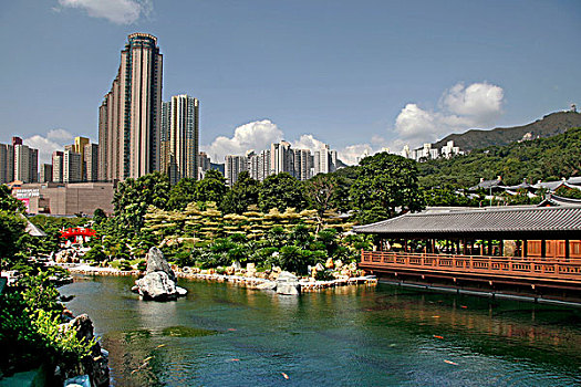 塔,湖,锦鲤,鱼,吃,植物,花园,香港,亚洲