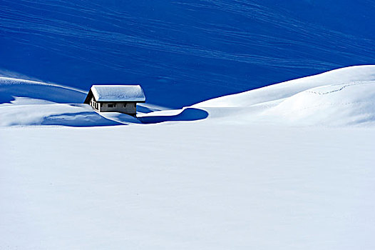 积雪,山,木房子,湖,靠近,瑞士,欧洲