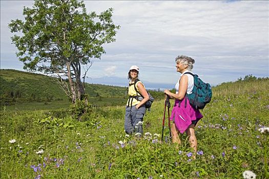 两个女人,远足者,湖,小路,楚加奇州立公园,靠近,阿拉斯加,夏天