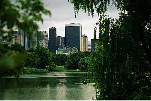 湖,树,中央公园,纽约,美国