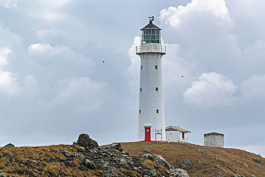 岬角,灯塔,阴天,塔拉纳基,区域,北岛,新西兰