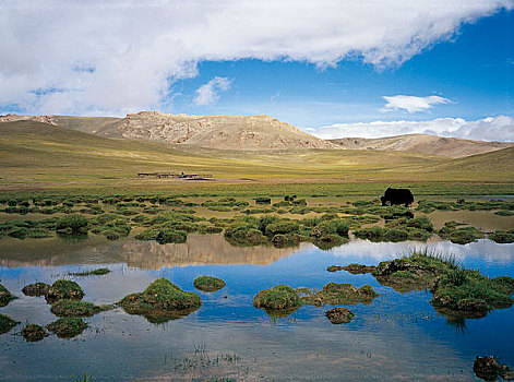 西藏申扎县湿地