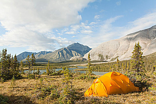 探险,帐蓬,北极,苔原,露营,后面,风,河,育空地区,加拿大