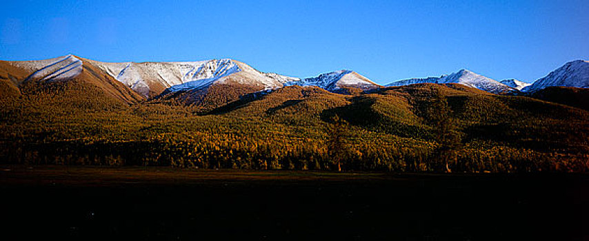 新疆布尔津白哈巴雪山,草原
