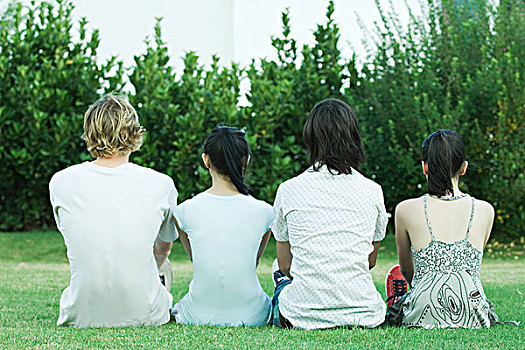 四个,年轻,朋友,坐,草,并排,后视图
