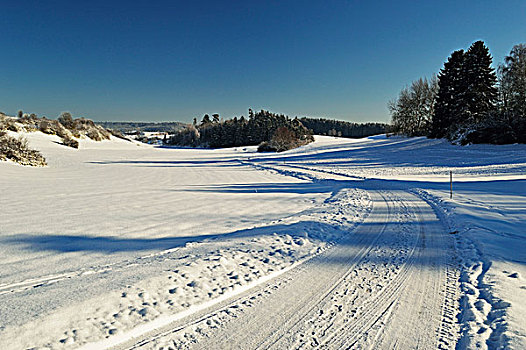 路,通过,结算,林地面积,在冬季,附近的,符腾堡,德国