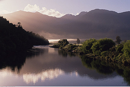 晨雾,溪流,西区国家公园,南岛,新西兰