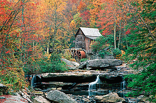 林间空地,溪流,磨坊,州立公园,秋天,西维吉尼亚