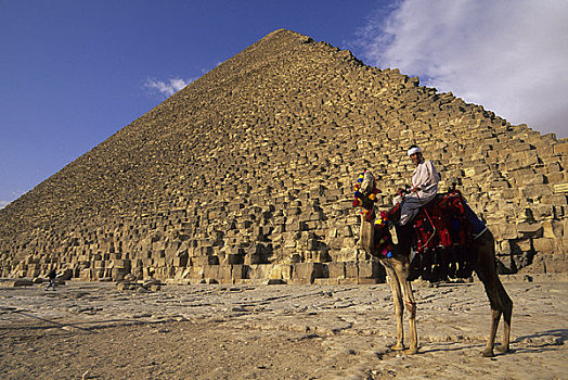 埃及,开罗,吉萨金字塔,基奥普斯,金字塔,骆驼,前景
