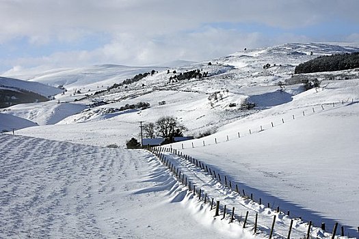 苏格兰,阿伯丁,积雪,道路