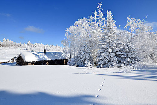 林海雪原中的小木屋