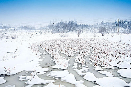 中国河南信阳乡村雪景