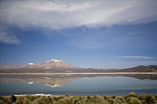 山景,火烈鸟,盐湖,国家公园,智利,南美