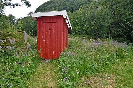 卫生间,小屋,厕所,罗弗敦群岛,挪威
