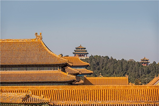 北京故宫风景