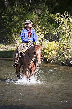 牛仔,骑,马,河流,怀俄明,美国