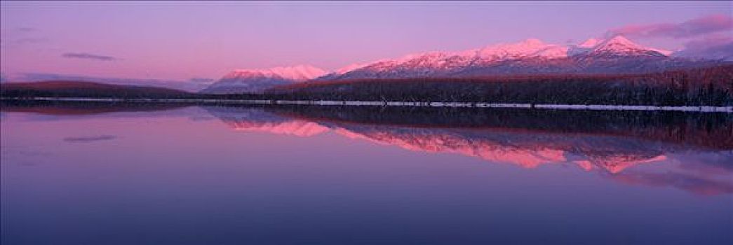 湖,楚加,冬天,景色