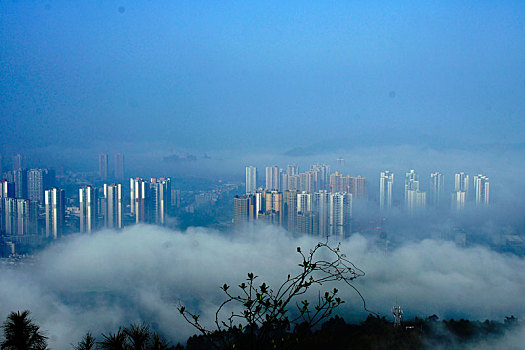 璧山,璧城,景观