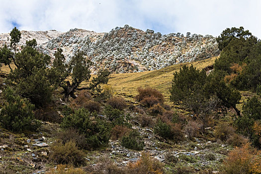 三江源自然保护区,尕朵觉沃神山,乡村旅游,长江源腹地