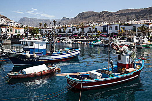渔船,港口,波多黎各,大卡纳利岛,加纳利群岛,西班牙,欧洲